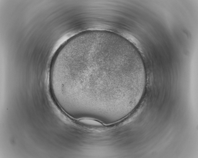 X0000115151130200911101724