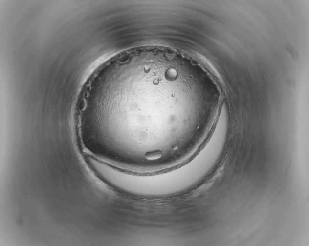 X0000115151133200911101724