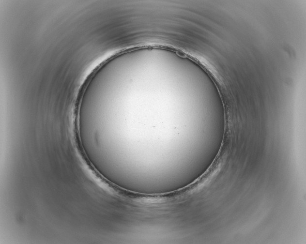 X0000115151134200911101724