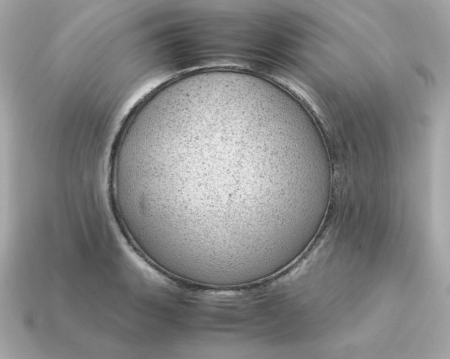 X0000115151135200911101724