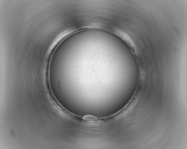 X0000115151138200911101724
