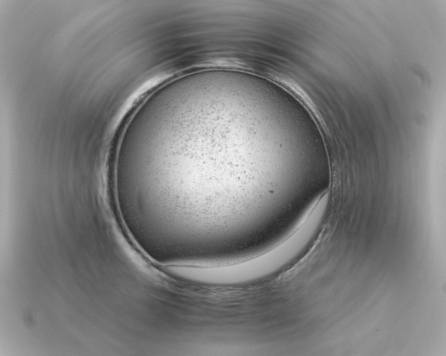 X0000115151139200911101724