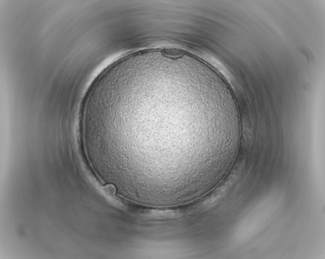X0000115151142200911101724