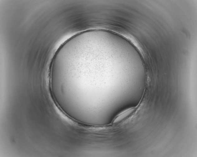 X0000115151143200911101724