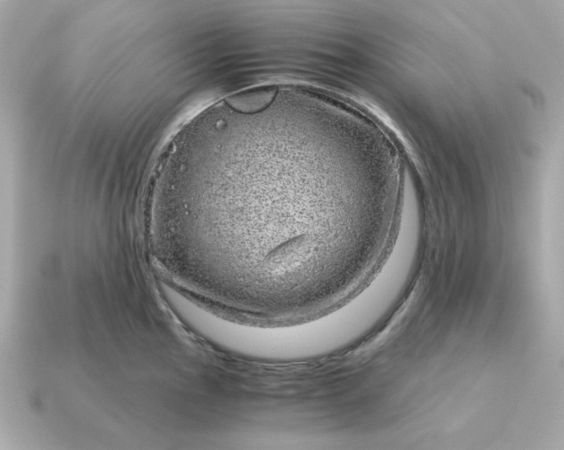 X0000115151145200911101724