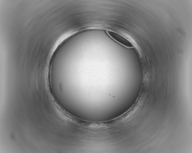 X0000115151146200911101724