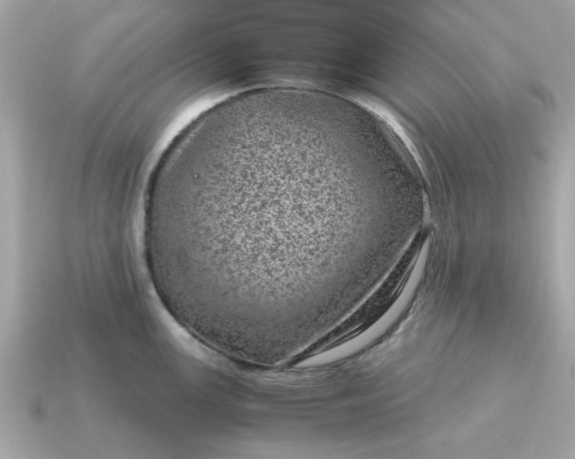 X0000115151147200911101724