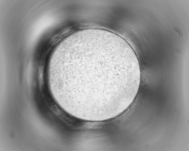 X0000115151150200911101724