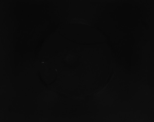 X0000115151167200911101723