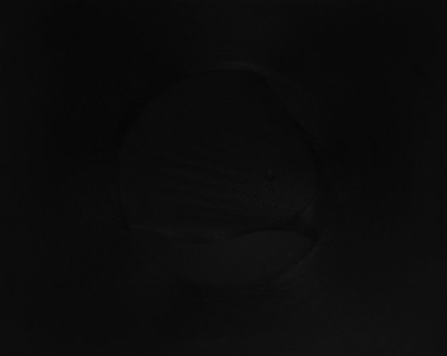 X0000115151193200911101722