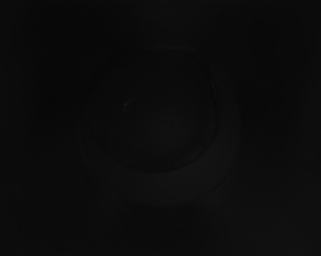 X0000115151195200911101722