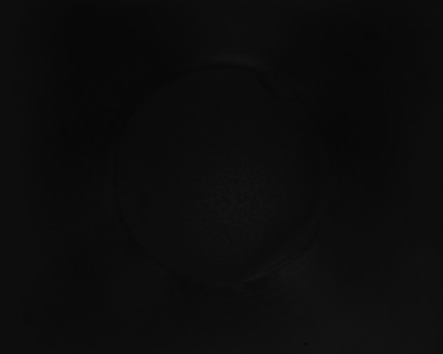 X0000115151199200911101722