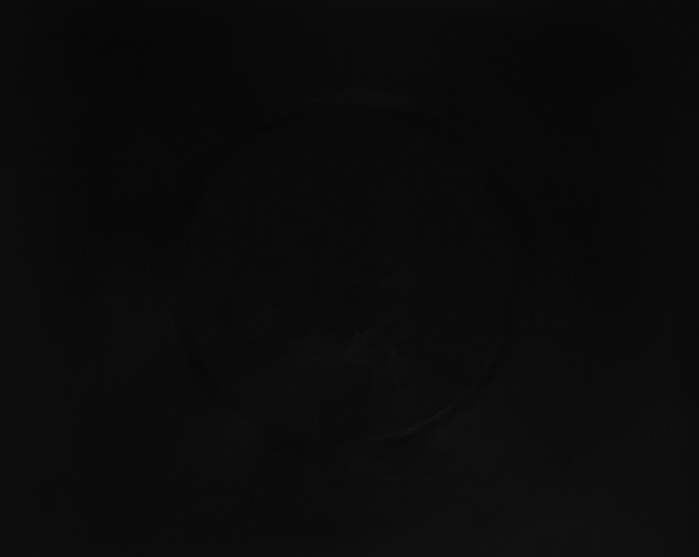 X0000115151229200911101722