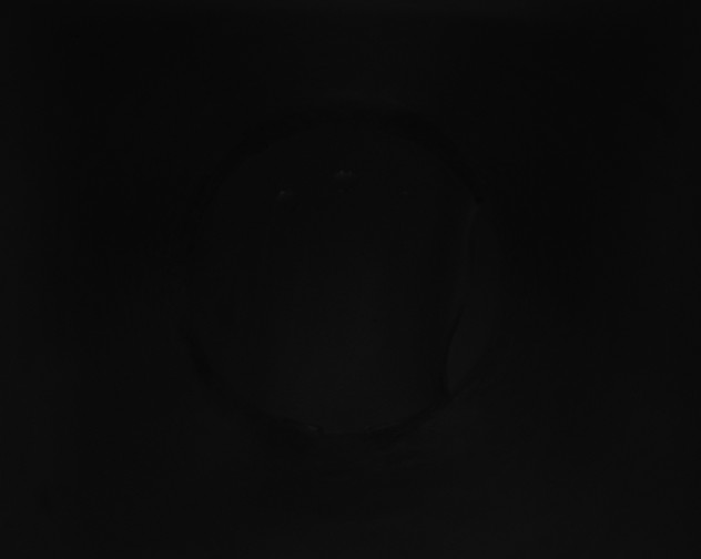 X0000115151253200911101722