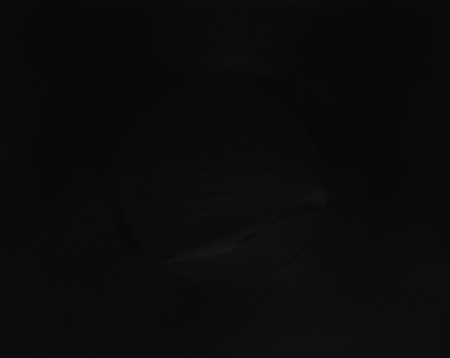 X0000115151261200911101722