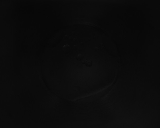 X0000115151282200911101721