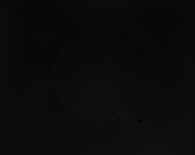 X0000115151321200911101721