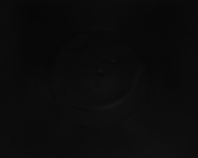 X0000115151325200911101721