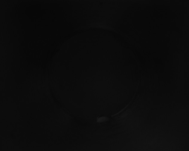 X0000115151334200911101721