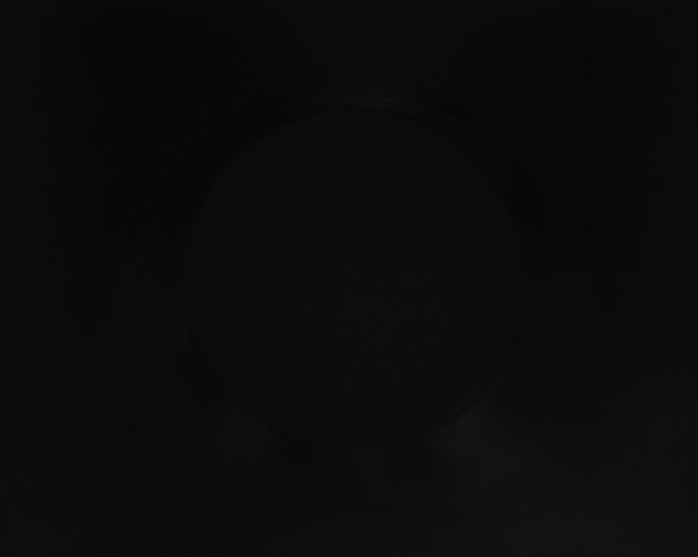 X0000115151338200911101721