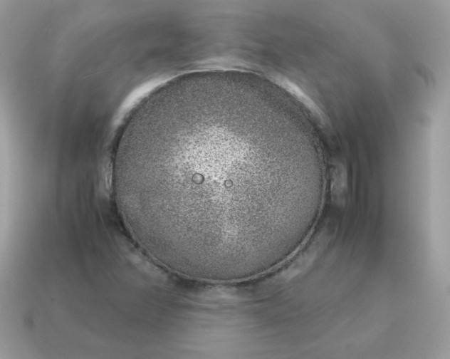 X0000115151358200911101720