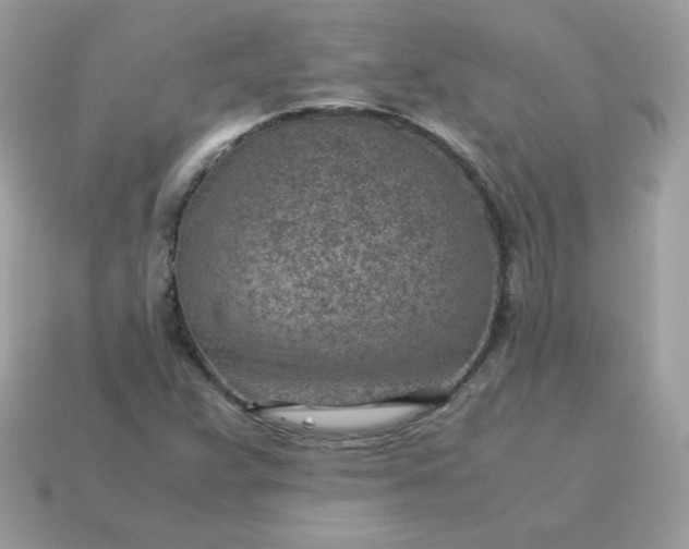 X0000115151359200911101720