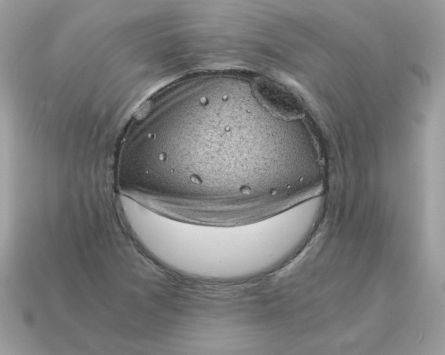 X0000115151361200911101720