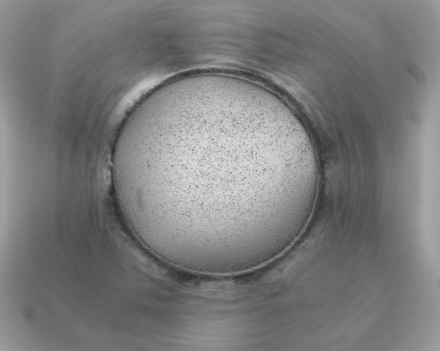 X0000115151363200911101720
