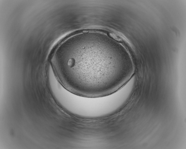 X0000115151364200911101720