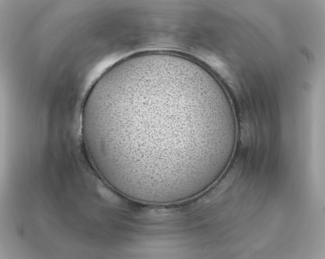 X0000115151366200911101720