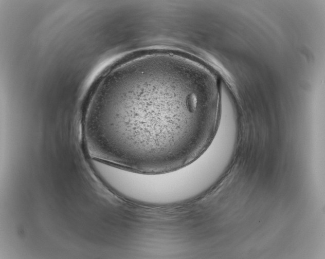 X0000115151368200911101720