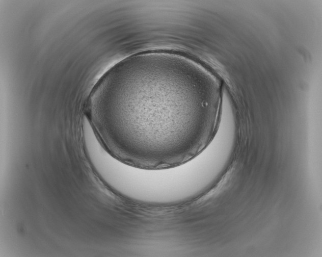 X0000115151369200911101720