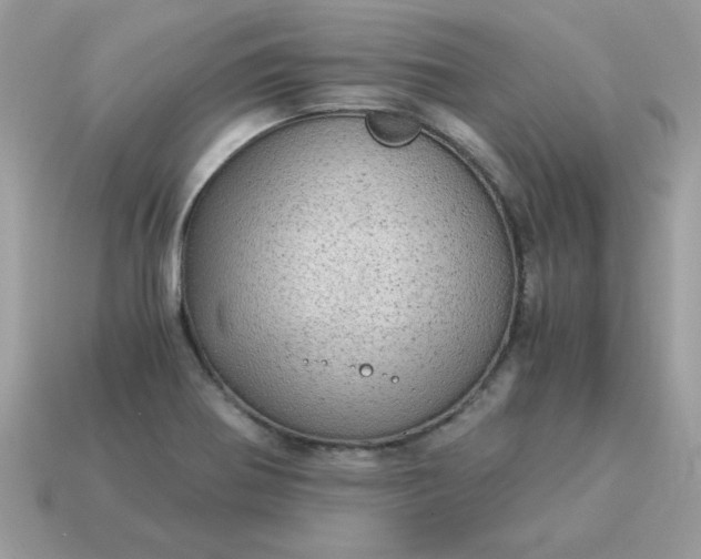 X0000115151370200911101720