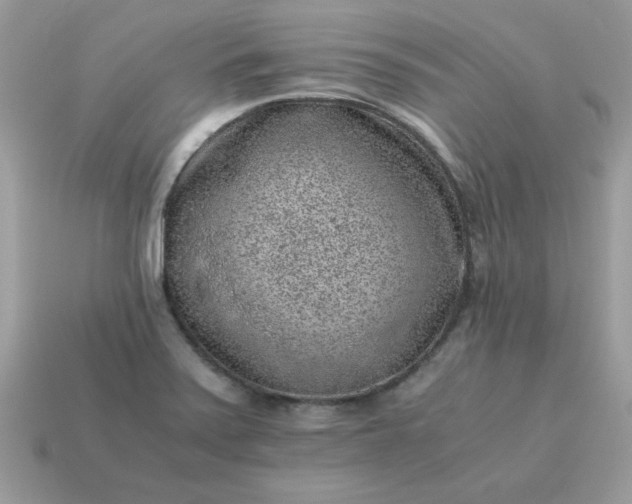 X0000115151371200911101720
