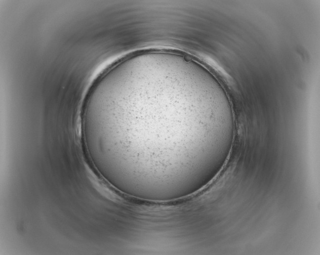 X0000115151372200911101720