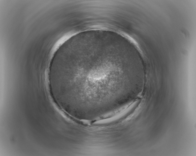 X0000115151373200911101720