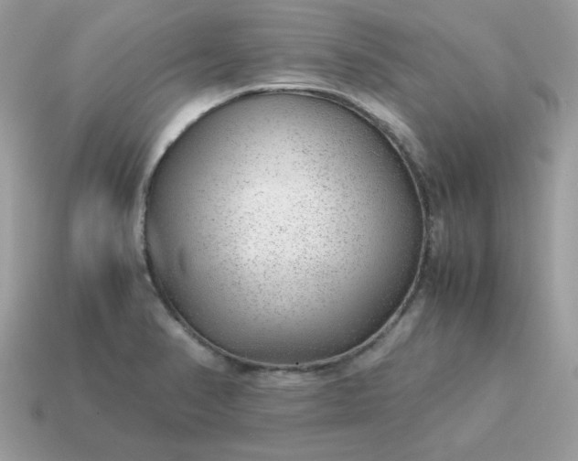 X0000115151374200911101720