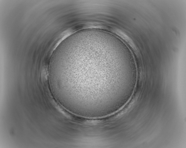 X0000115151377200911101720