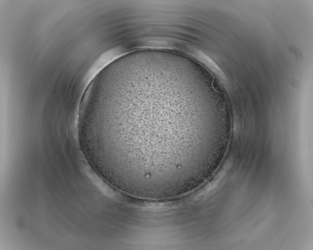 X0000115151378200911101720