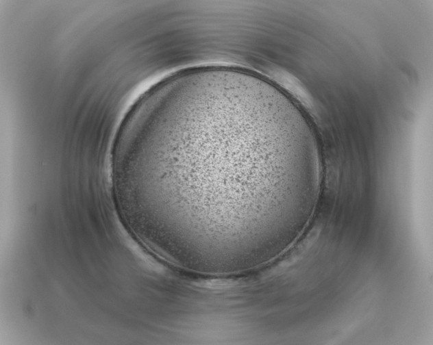 X0000115151380200911101720