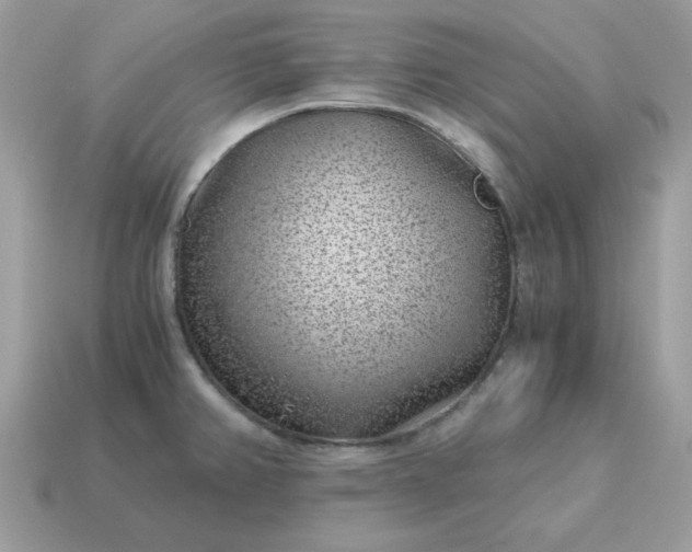X0000115151382200911101720