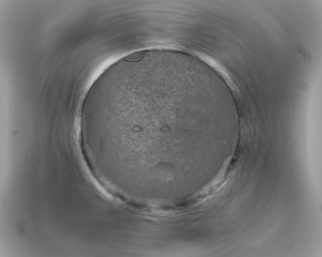 X0000115151383200911101720
