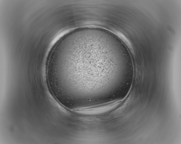 X0000115151384200911101720