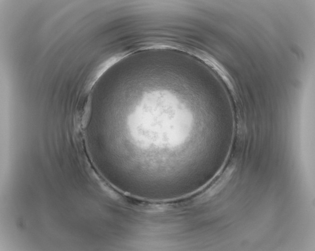 X0000115151385200911101720