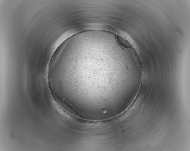 X0000115151386200911101720