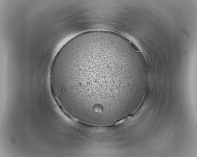 X0000115151387200911101720