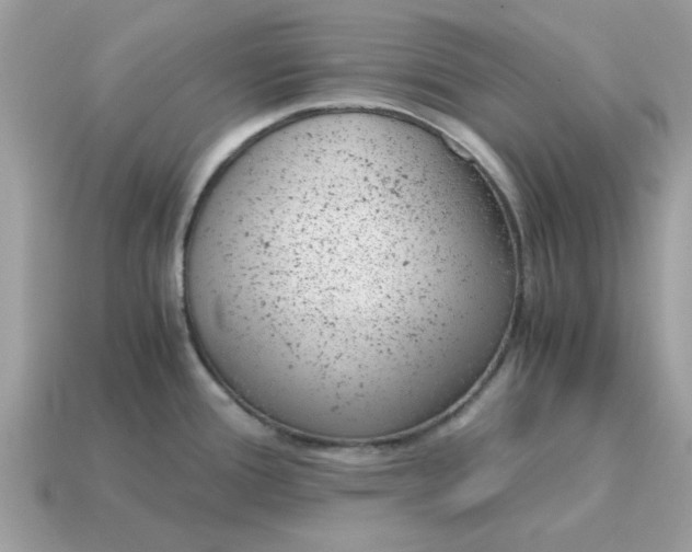 X0000115151388200911101720