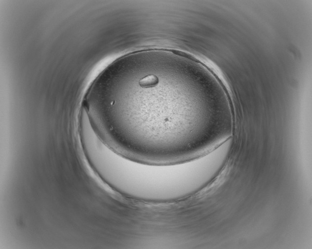 X0000115151389200911101720