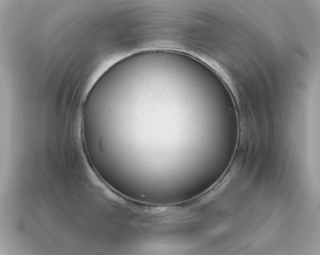 X0000115151390200911101720