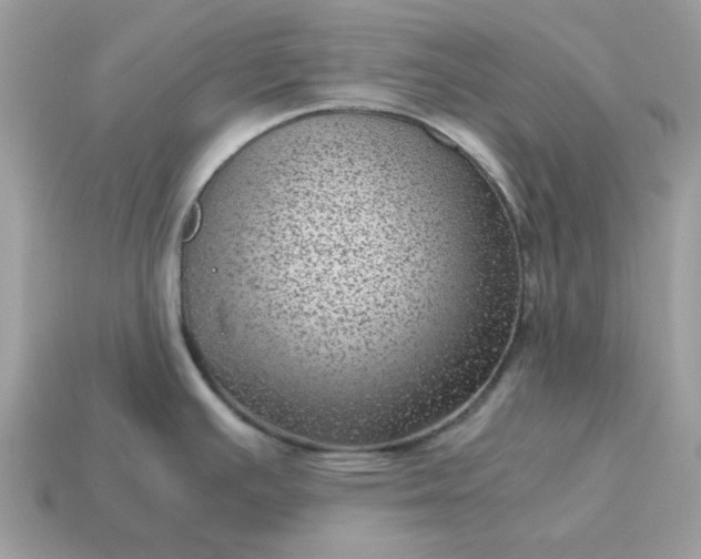 X0000115151391200911101720